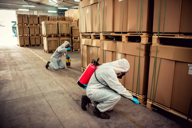 Best Rat Extermination Near Me  in Richlandtown, PA