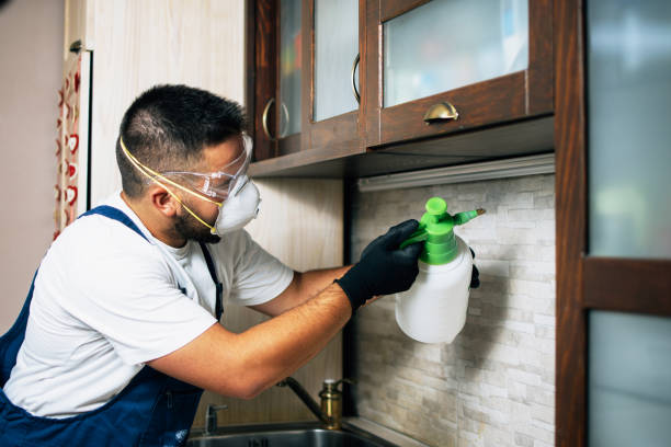 Best Termite Control Services  in Richlandtown, PA