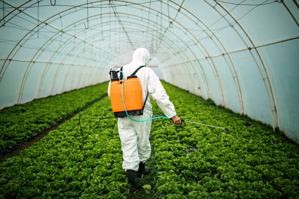 Best Pest Inspection Near Me  in Richlandtown, PA