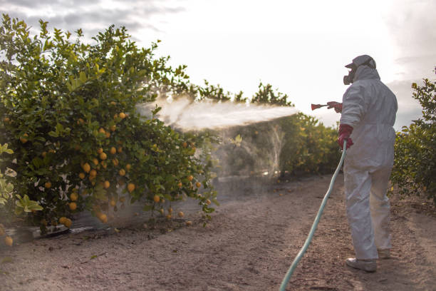 Best Pest Inspection Near Me  in Richlandtown, PA
