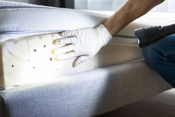 Best Mosquito Control Services  in Richlandtown, PA