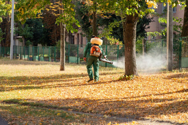 Best Cockroach Control Services  in Richlandtown, PA
